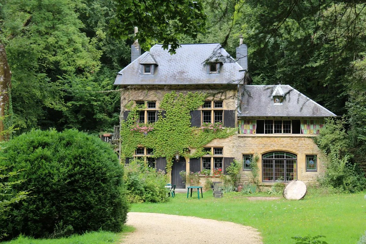 Bois de la Vierge – 6,7 km Waldwanderung