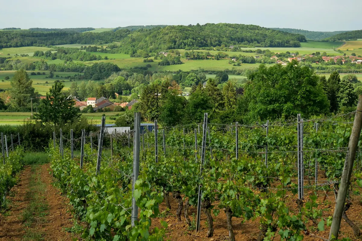 La Provençale – Spaziergang durch die belgische Provence