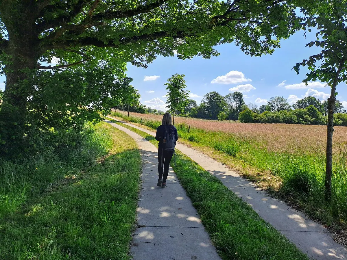 Tintigny-Han Rundweg: familienfreundliche Gaume-Landschaft