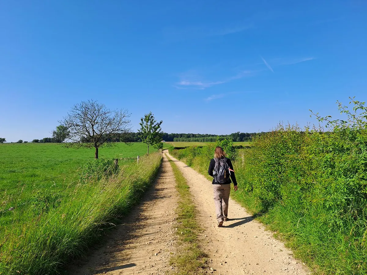 Le Tour des Tagettes – Kurze Wanderung durch die Landschaft der Gaume