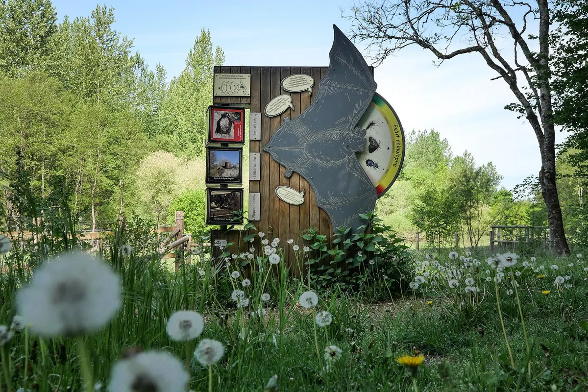 Fledermausweg – Naturschutzgebiet Prés d'Orval