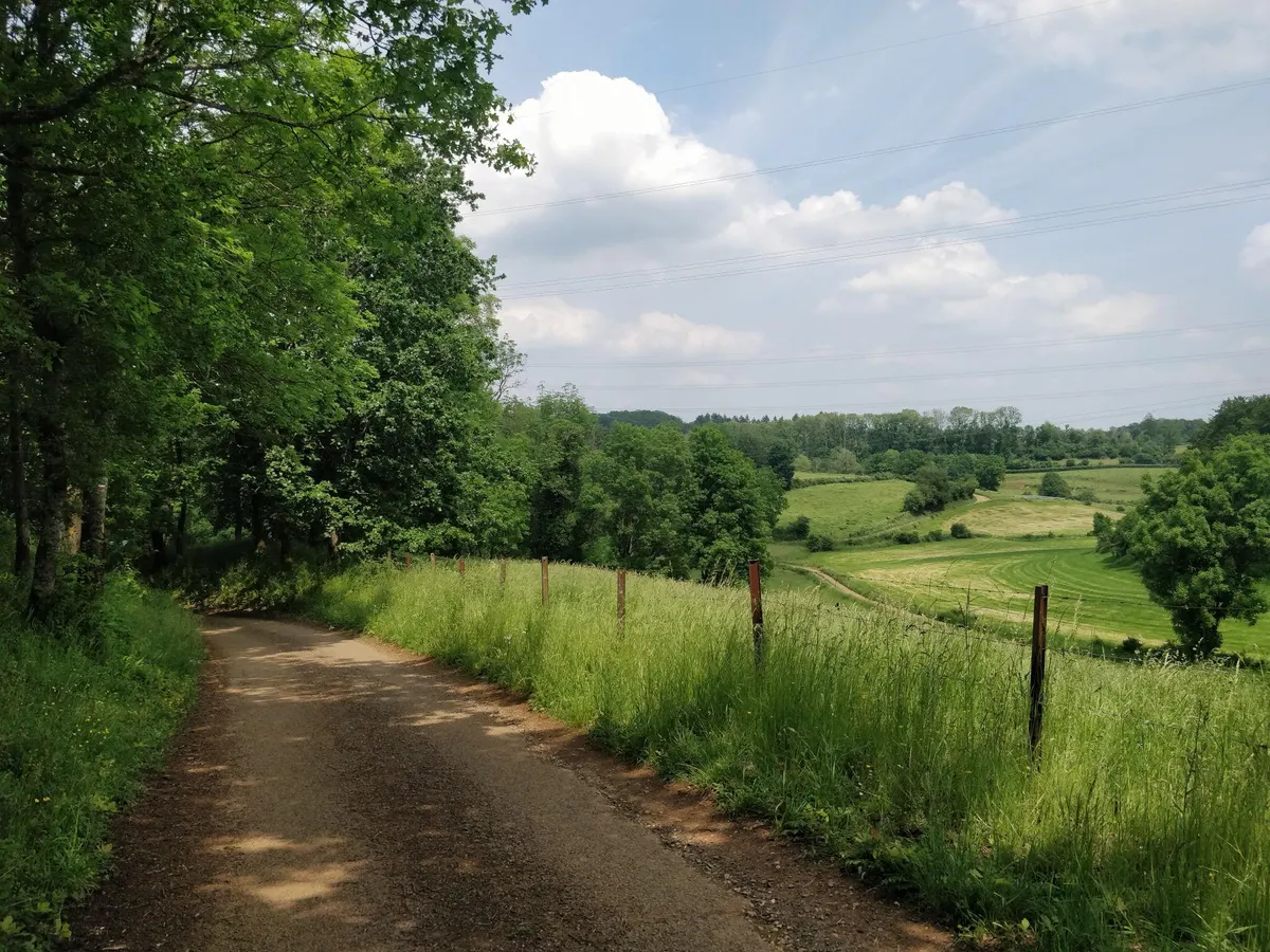 Gallor-Rundweg Nr. 9: auf Römerspuren mit dem Rad