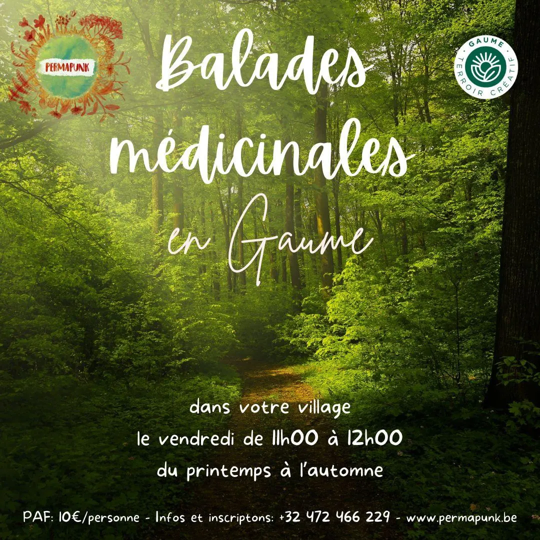 Medicinal Plant Walk in Gaume – 28 August 2026
