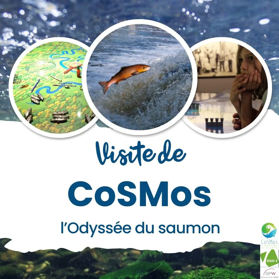 CoSMos, l'odyssée du Saumon